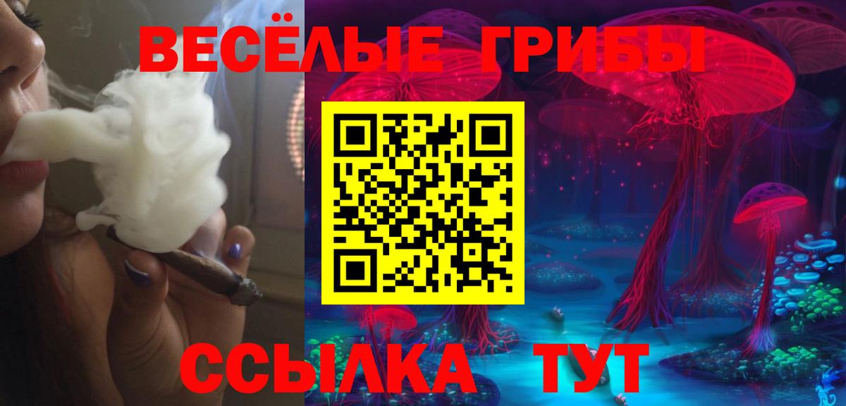 цены наркотик  Псилоцибиновые грибы GOLDEN TEACHER  Кушва  Вход с VPN  Галлюциногенные грибы GOLDEN TEACHER 